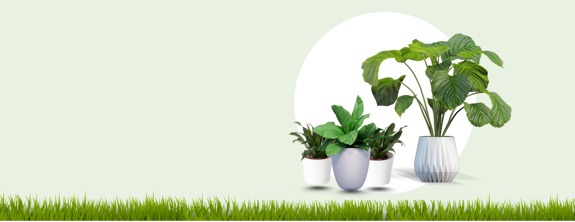 plant mitra banner 0102