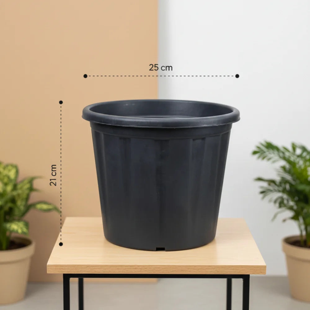 10-Inch Black Gardening Pots – Set of 6 Durable Plastic Planters for Indoor & Outdoor Plants