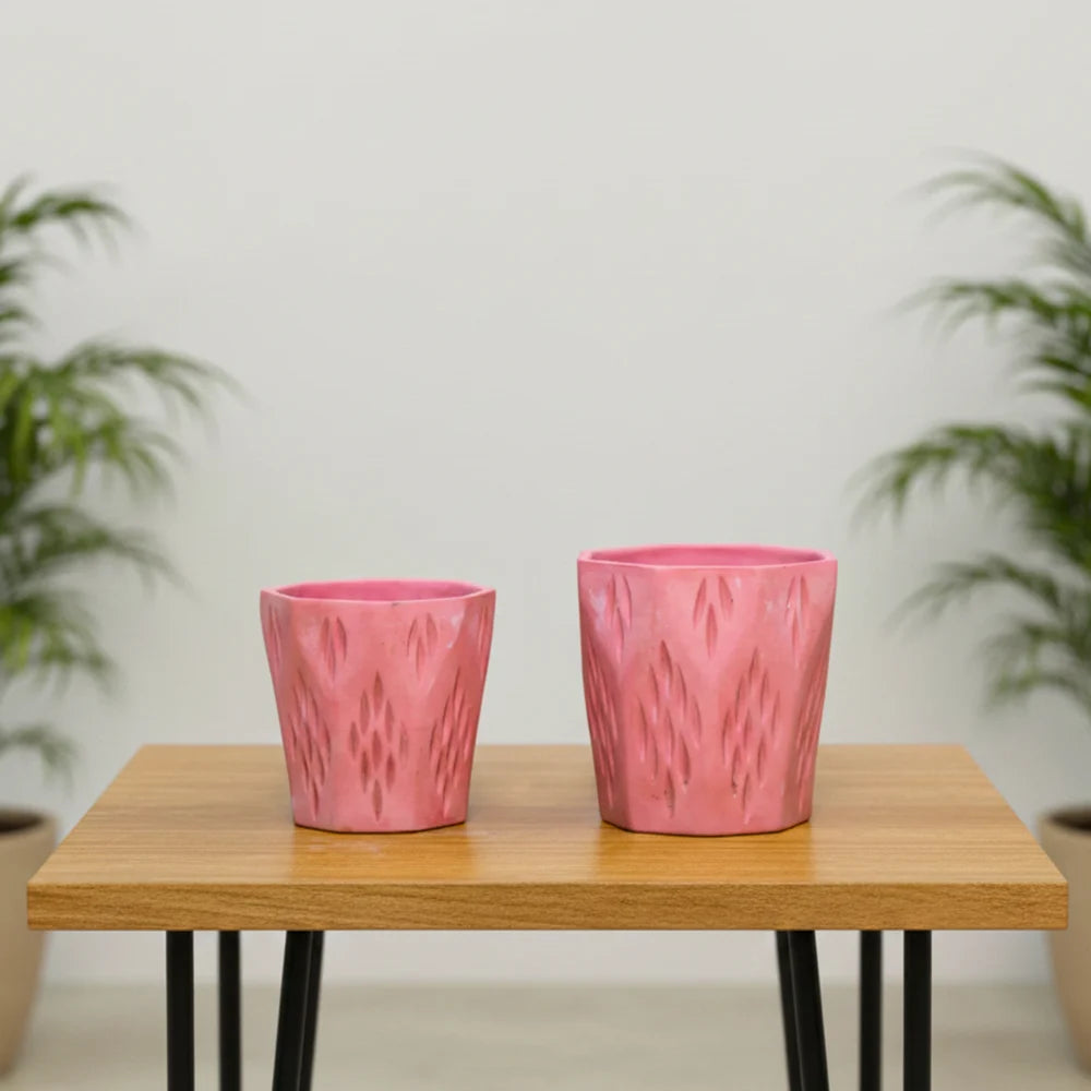 10 Pahal Argle Ceramic Pot – Elegant Decorative Planter (4.5″ x 5″)