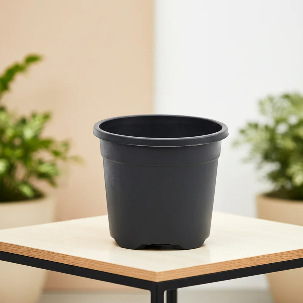 8-Inch Black Gardening Pots – Set of 6 Durable Plastic Planters for Indoor & Outdoor Plants