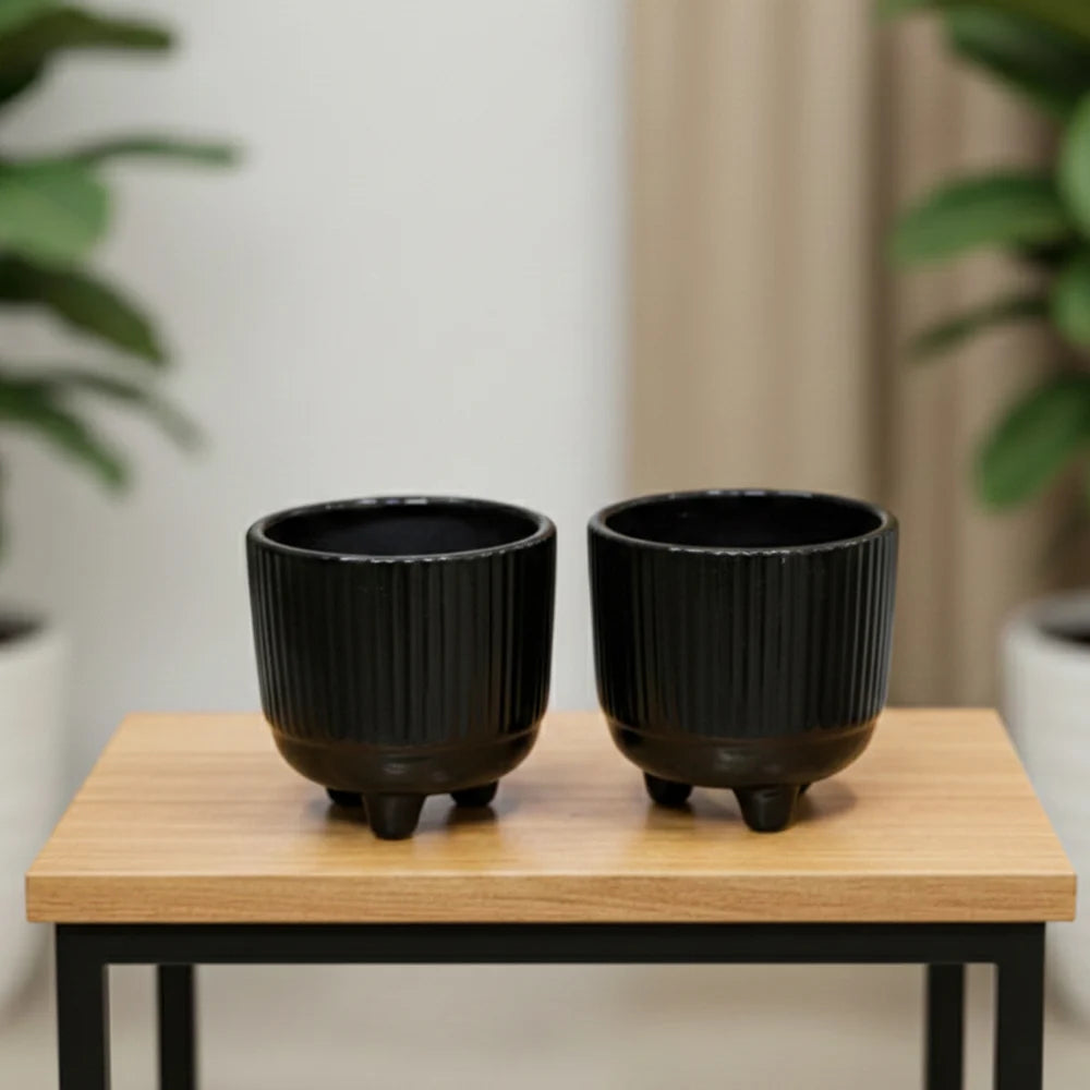 3 Leg Table Top Ceramic Pot – Elegant Decorative Planter Set (4″ x 4″, Set of 2)