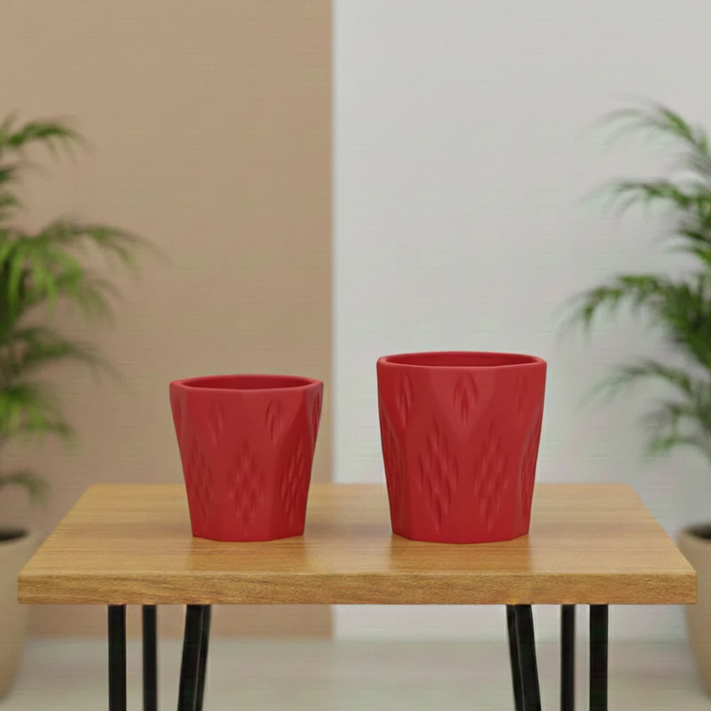 10 Pahal Argle Ceramic Pot – Elegant Decorative Planter (4.5″ x 5″)