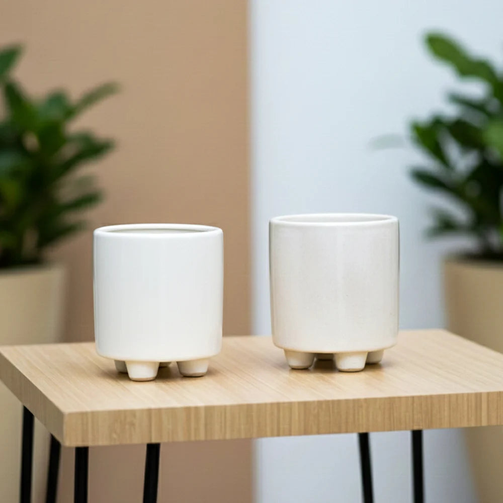 2 Pair Stand Ceramic Pot – Premium Decorative Planter Set (3.5″ x 4″, Set of 4)