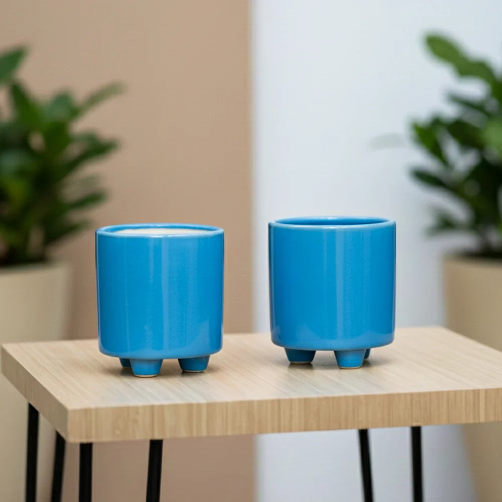 2 Pair Stand Ceramic Pot – Premium Decorative Planter Set (3.5″ x 4″, Set of 4)