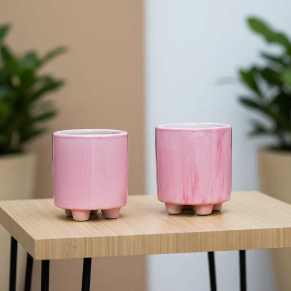 2 Pair Stand Ceramic Pot – Premium Decorative Planter Set (3.5″ x 4″, Set of 4)