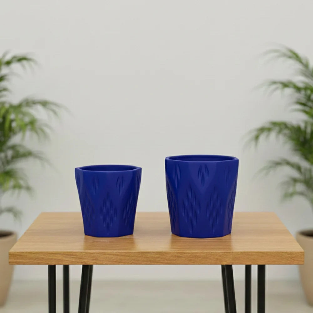 10 Pahal Argle Ceramic Pot – Elegant Decorative Planter (4.5″ x 5″)