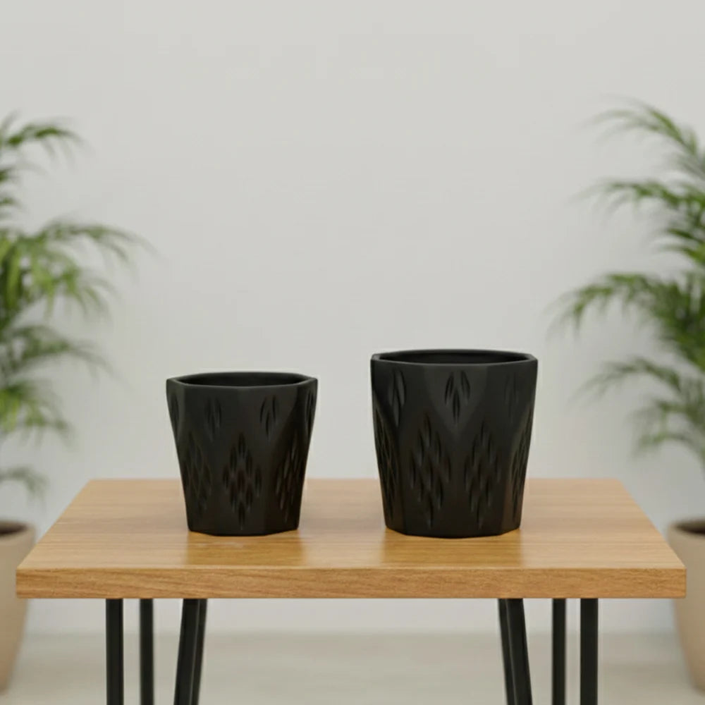 10 Pahal Argle Ceramic Pot – Elegant Decorative Planter (4.5″ x 5″)