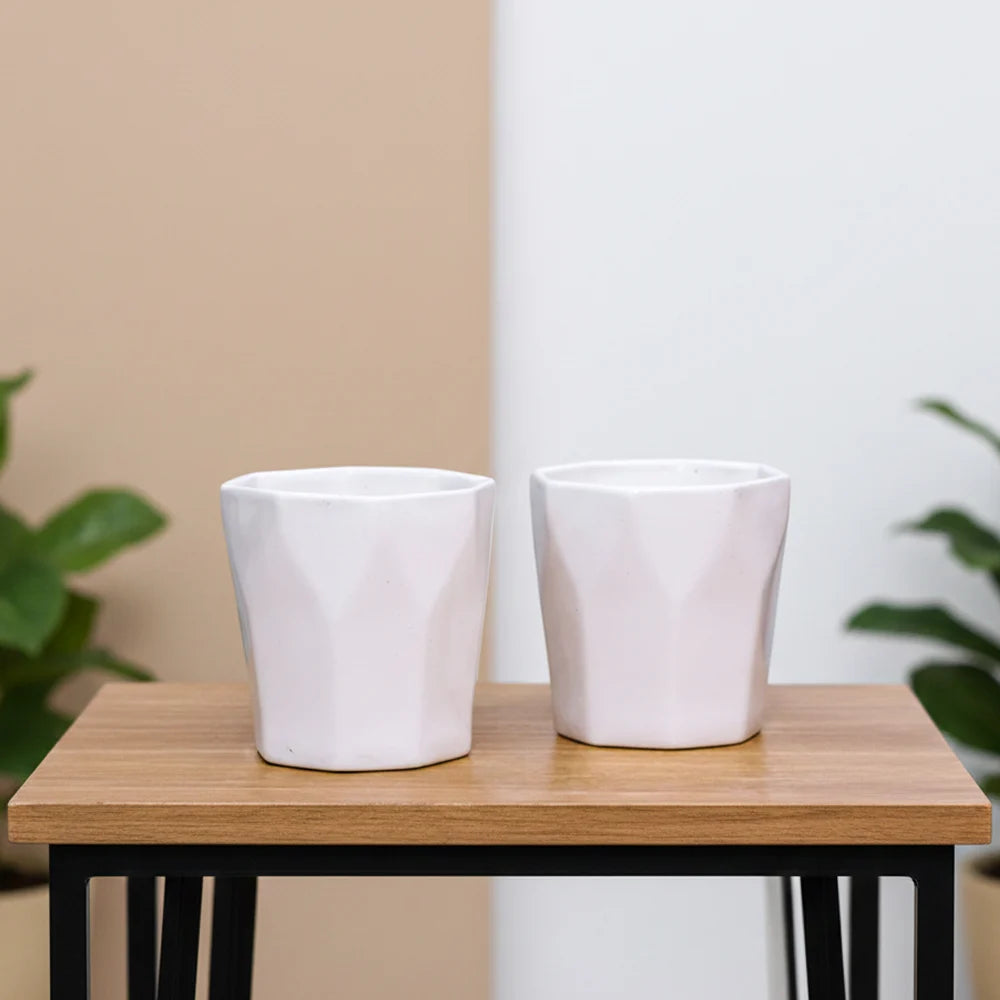 6 Pahal Ceramic Pot – Premium White Decorative Planter (4.5″ x 5″, Set of 2)