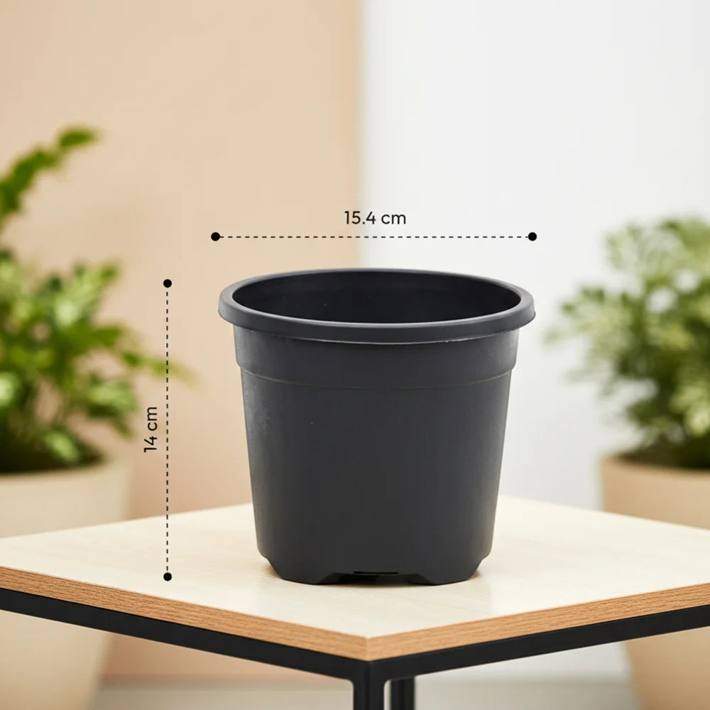 8-Inch Black Gardening Pots – Set of 6 Durable Plastic Planters for Indoor & Outdoor Plants