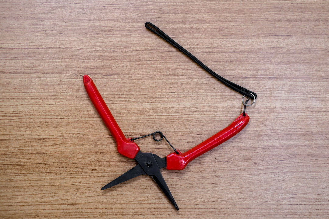 Handy Clipper – Sharp Garden Pruning Shear for Plants and Flowers