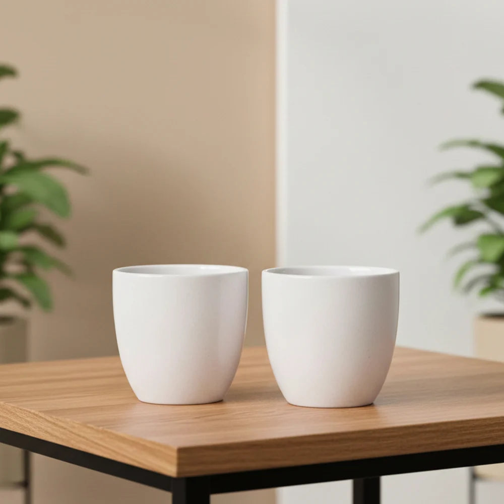 Dana Dholak Ceramic Pot – Elegant White Decorative Planter (6.5″ x 6.5″, 1 Piece)