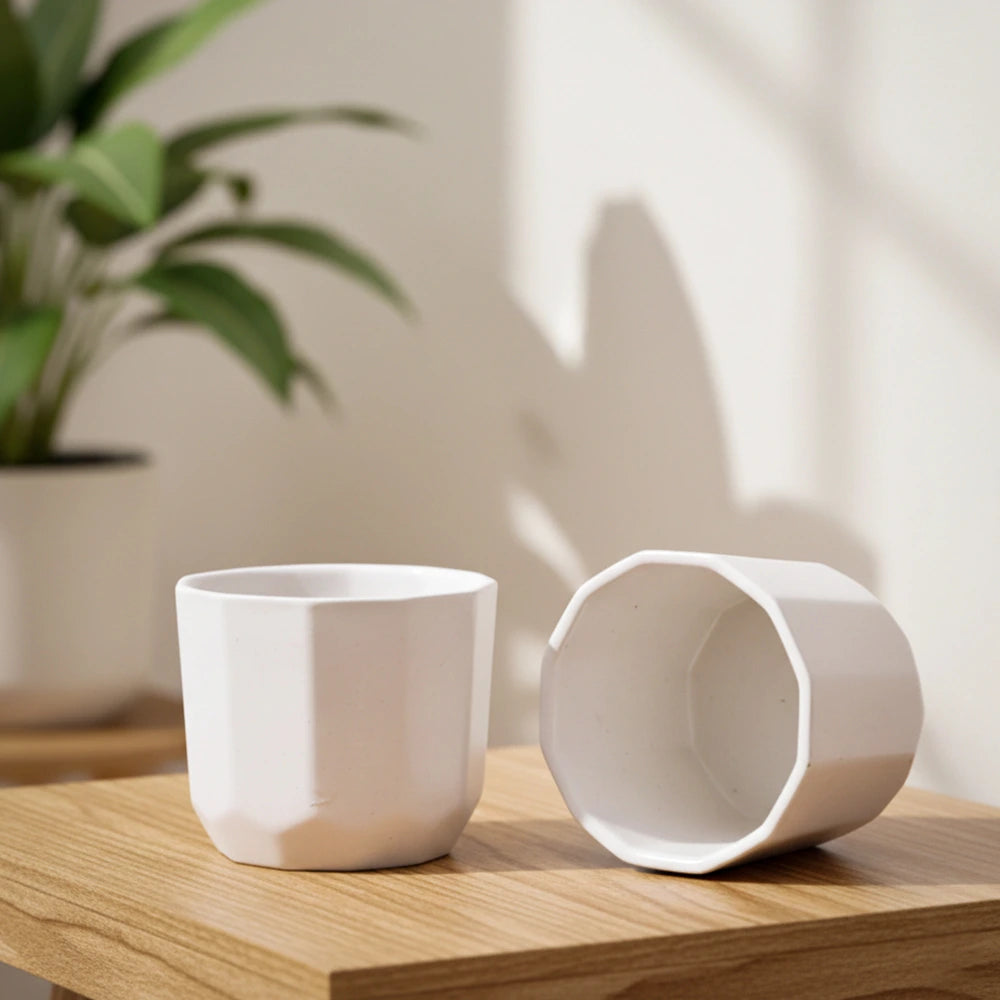 Phoenix LT Ceramic Pot – Elegant White Decorative Planter (Set of 2, 4″ x 4″)